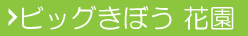 花園