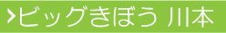 川本